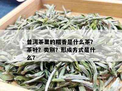 普洱茶里的糯香是什么茶？茶叶？类别？形成方式是什么？