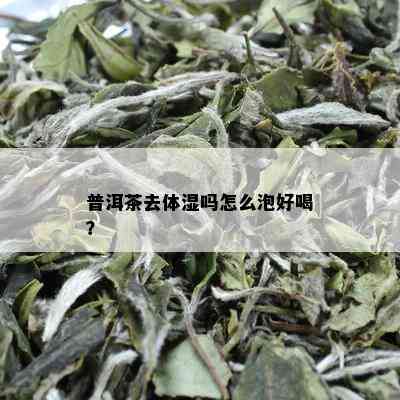 普洱茶去体湿吗怎么泡好喝？