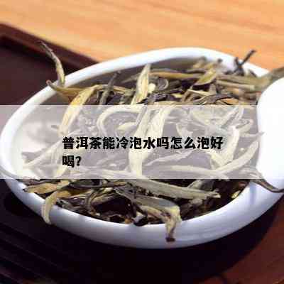 普洱茶能冷泡水吗怎么泡好喝？