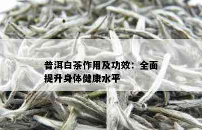 普洱白茶作用及功效：全面提升身体健康水平