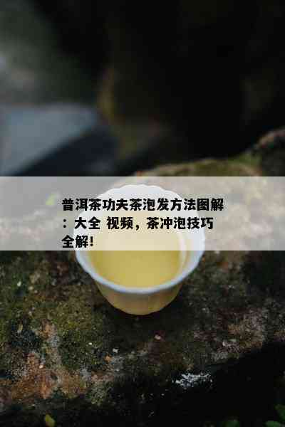 普洱茶功夫茶泡发方法图解：大全 视频，茶冲泡技巧全解！