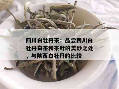 四川白牡丹茶：品尝四川白牡丹白茶和茶叶的美妙之处，与陕西白牡丹的比较