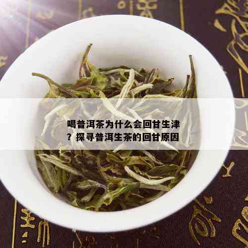 喝普洱茶为什么会回甘生津？探寻普洱生茶的回甘原因