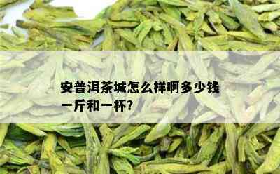 安普洱茶城怎么样啊多少钱一斤和一杯？