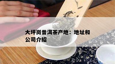 大坪岗普洱茶产地：地址和公司介绍