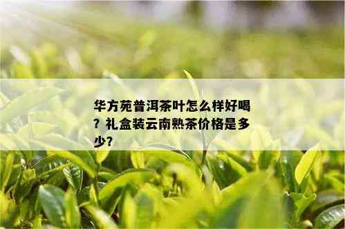 华方苑普洱茶叶怎么样好喝？礼盒装云南熟茶价格是多少？