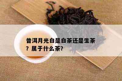 普洱月光白是白茶还是生茶？属于什么茶？