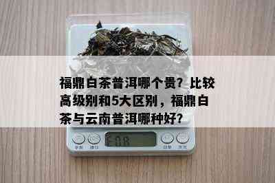 福鼎白茶普洱哪个贵？比较高级别和5大区别，福鼎白茶与云南普洱哪种好？