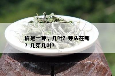 眉是一芽，几叶？芽头在哪？几芽几叶？