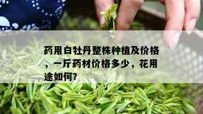 用白牡丹整株种植及价格，一斤材价格多少，花用途如何？