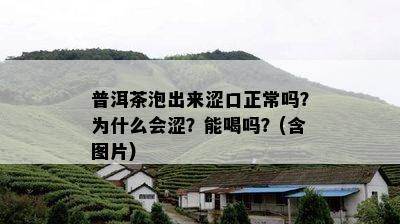 普洱茶泡出来涩口正常吗？为什么会涩？能喝吗？(含图片)