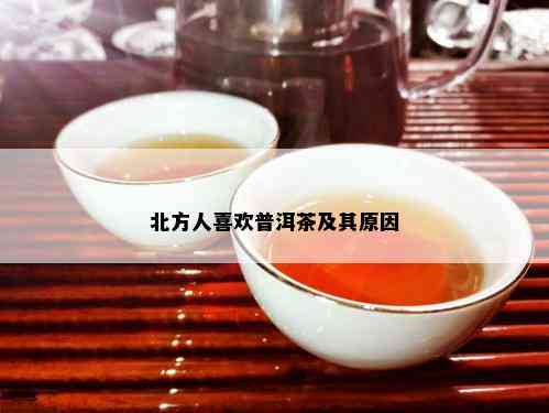 北方人喜欢普洱茶及其原因