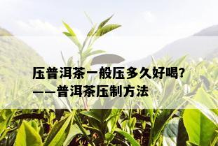 压普洱茶一般压多久好喝？——普洱茶压制方法