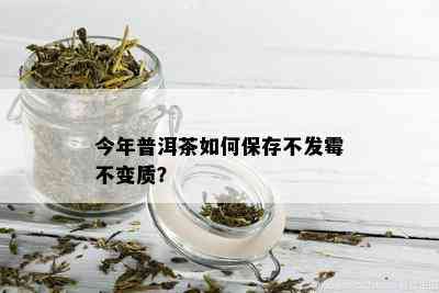 今年普洱茶如何保存不发霉不变质？