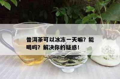 普洱茶可以冰冻一天嘛？能喝吗？解决你的疑惑！