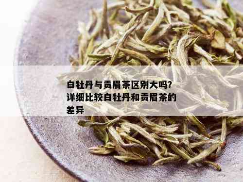 白牡丹与贡眉茶区别大吗？详细比较白牡丹和贡眉茶的差异