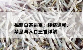 福鼎白茶进京：经络通畅、禁忌与入口感觉详解