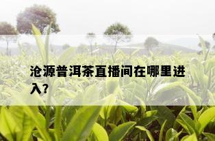 沧源普洱茶直播间在哪里进入？