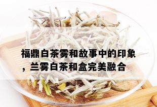 福鼎白茶雾和故事中的印象，兰雾白茶和盒完美融合