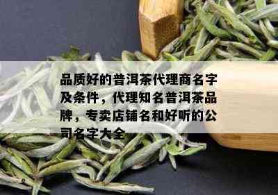 品质好的普洱茶代理商名字及条件，代理知名普洱茶品牌，专卖店铺名和好听的公司名字大全