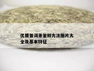 优质普洱茶鉴别方法图片大全及基本特征