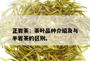 正岩茶：茶叶品种介绍及与半岩茶的区别。