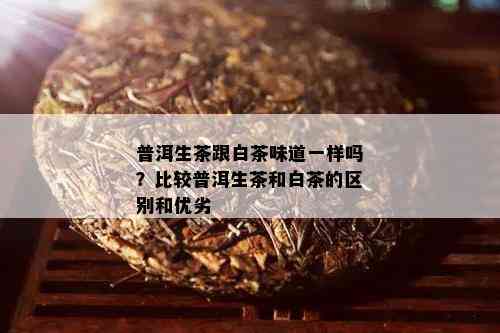 普洱生茶跟白茶味道一样吗？比较普洱生茶和白茶的区别和优劣