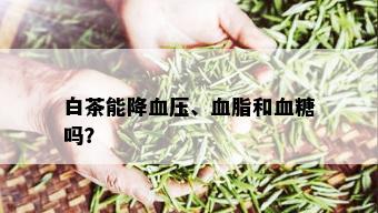 白茶能降血压、血脂和血糖吗？