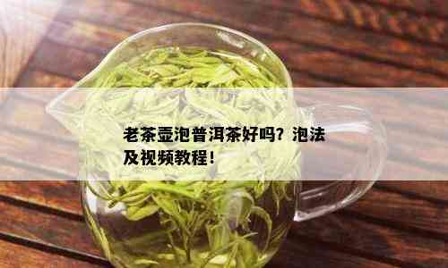 老茶壶泡普洱茶好吗？泡法及视频教程！