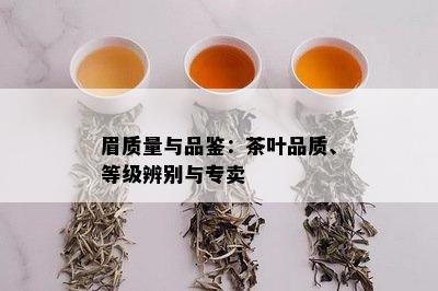 眉质量与品鉴：茶叶品质、等级辨别与专卖