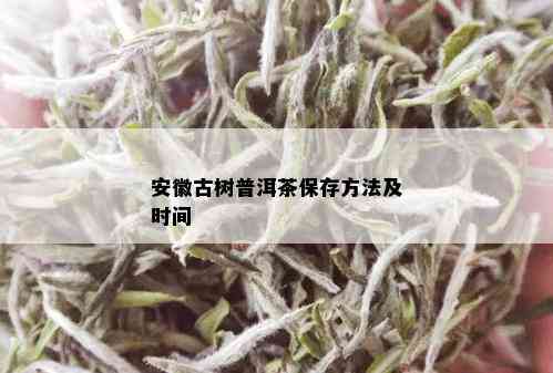 安徽古树普洱茶保存方法及时间