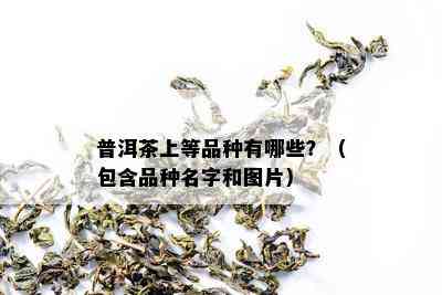 普洱茶上等品种有哪些？（包含品种名字和图片）