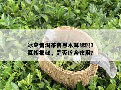 冰岛普洱茶有黑木耳味吗？真相揭秘，是否适合饮用？