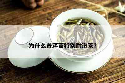 为什么普洱茶特别耐泡茶？