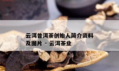 云洱普洱茶创始人简介资料及图片 - 云洱茶业