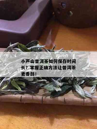 小芦山普洱茶如何保存时间长？掌握正确方法让普洱茶更香醇！