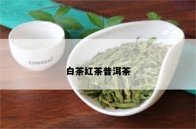 白茶红茶普洱茶