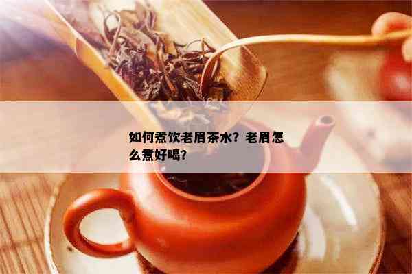 如何煮饮老眉茶水？老眉怎么煮好喝？