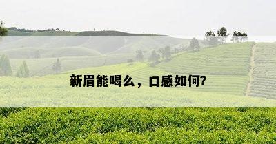 新眉能喝么，口感如何？