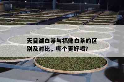 天目湖白茶与福鼎白茶的区别及对比，哪个更好喝？