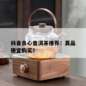 抖音良心普洱茶推荐：真品便宜购买？