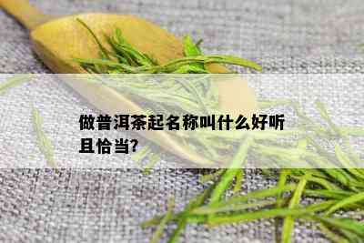 做普洱茶起名称叫什么好听且恰当？