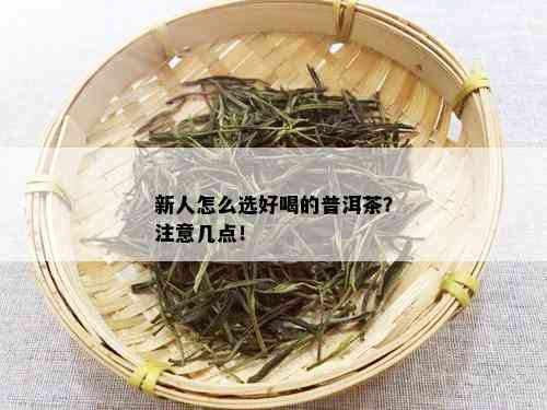 新人怎么选好喝的普洱茶？注意几点！