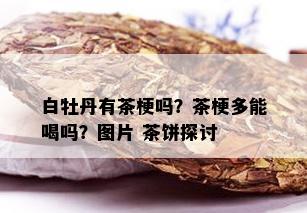 白牡丹有茶梗吗？茶梗多能喝吗？图片 茶饼探讨