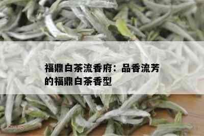 福鼎白茶流香府：品香流芳的福鼎白茶香型