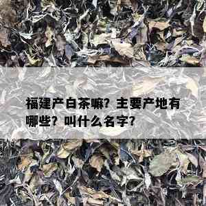 福建产白茶嘛？主要产地有哪些？叫什么名字？