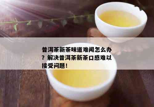 普洱茶新茶味道难闻怎么办？解决普洱茶新茶口感难以接受问题！