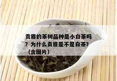 贡眉的茶树品种是小白茶吗？为什么贡眉是不是白茶？（含图片）