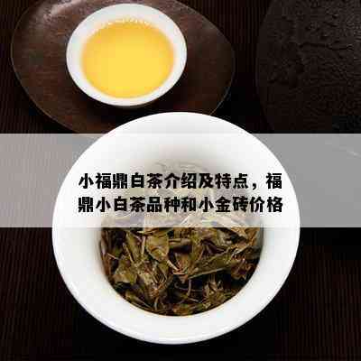 小福鼎白茶介绍及特点，福鼎小白茶品种和小金砖价格