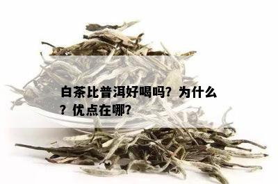 白茶比普洱好喝吗？为什么？优点在哪？